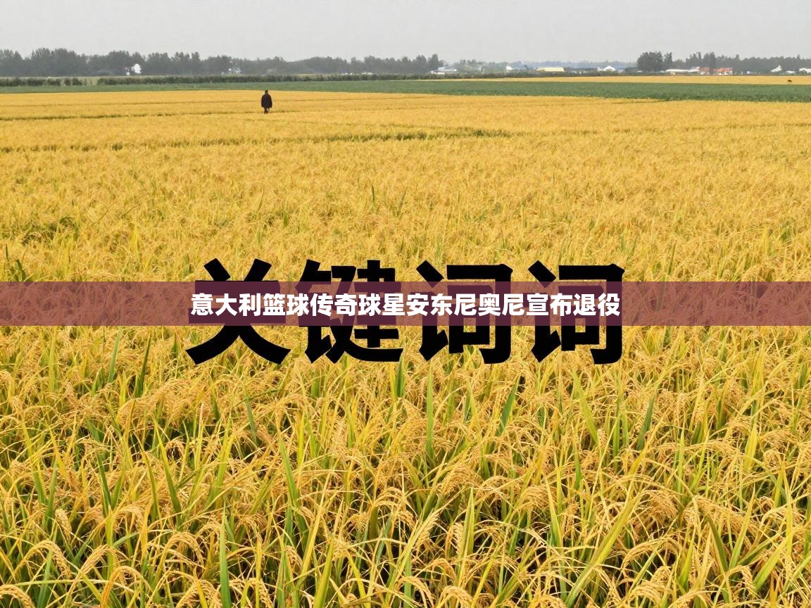 意大利篮球传奇球星安东尼奥尼宣布退役 第2张